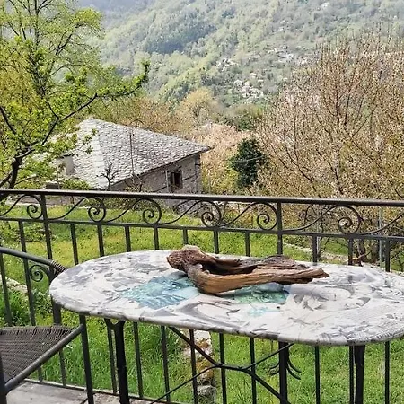 Thalassoxyla Mouressi